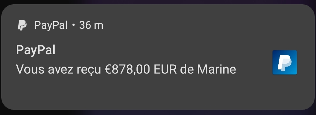Paiement PayPal de 878 euros reçu de Marine